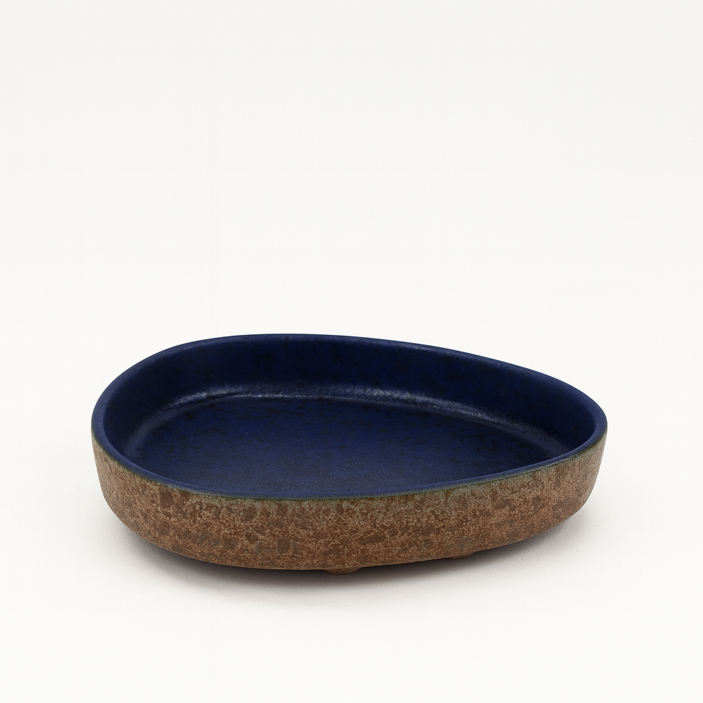 Speckled Catch All in Blue