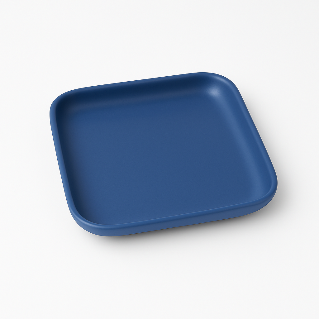 Snack Plate in Blue